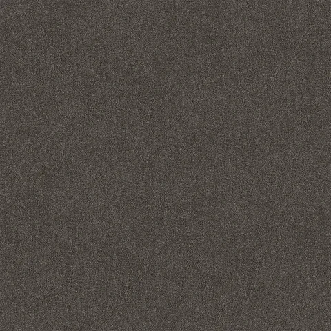 Grey carpet swatch